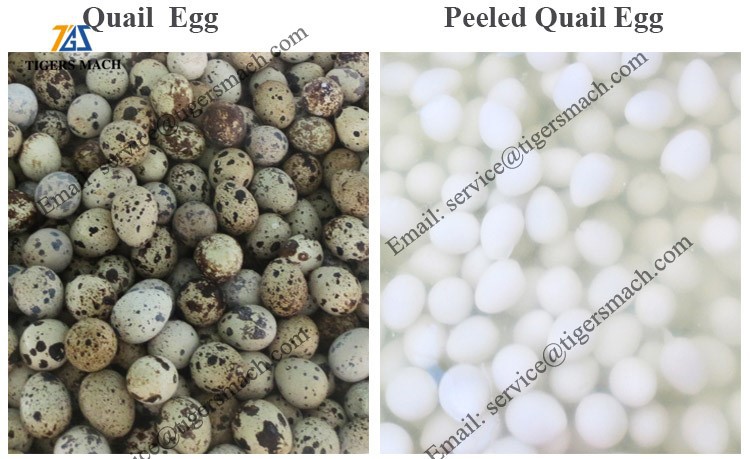 product-750-459 product-750-459