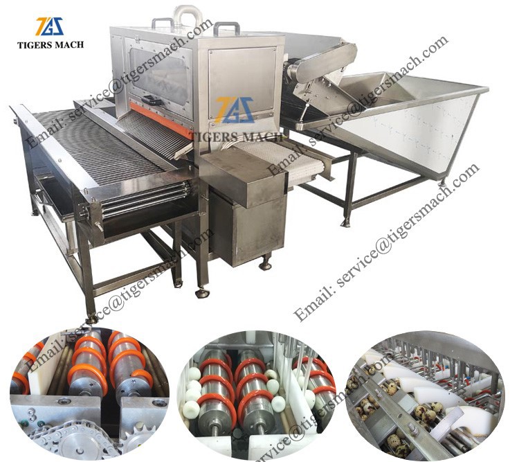 product-750-667 product-750-667