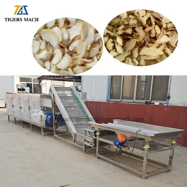 Automatic Fruit Dehydrating Machine