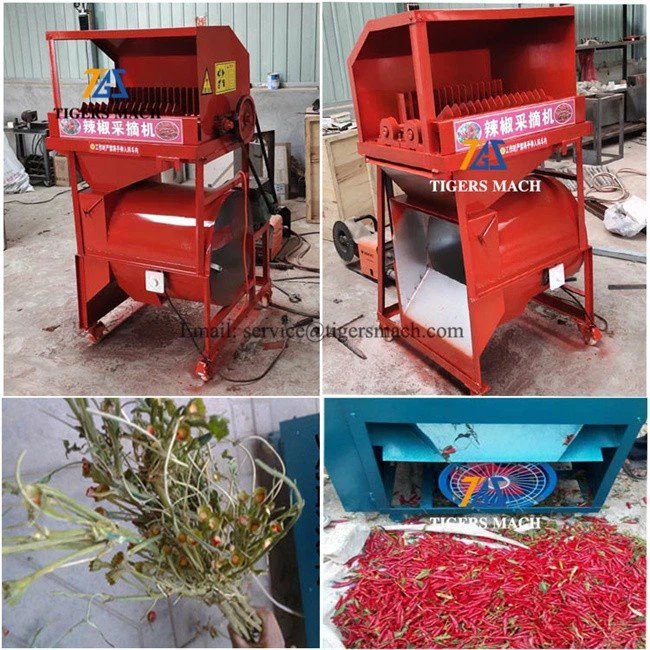 Automatic Chili Harvesting Machinery