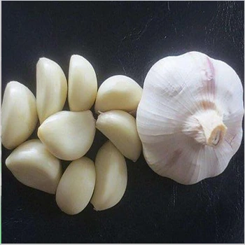 ویژگی های دستگاه برقی پوست کن سیر